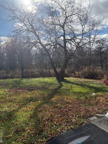 a view of a yard with a tree
