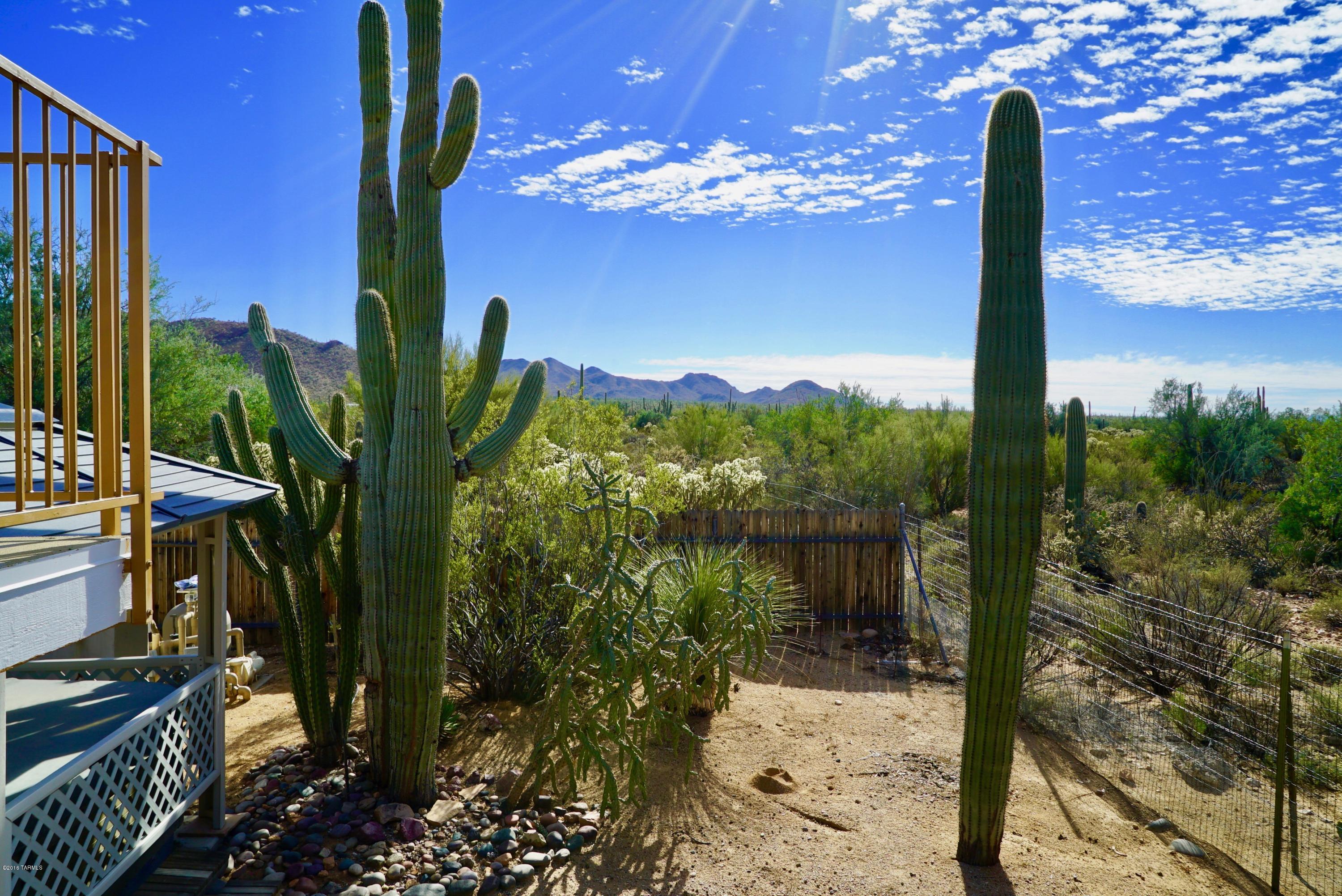 10195 West Rudasill Road Tucson, AZ 85743 - Photo 36 of 44