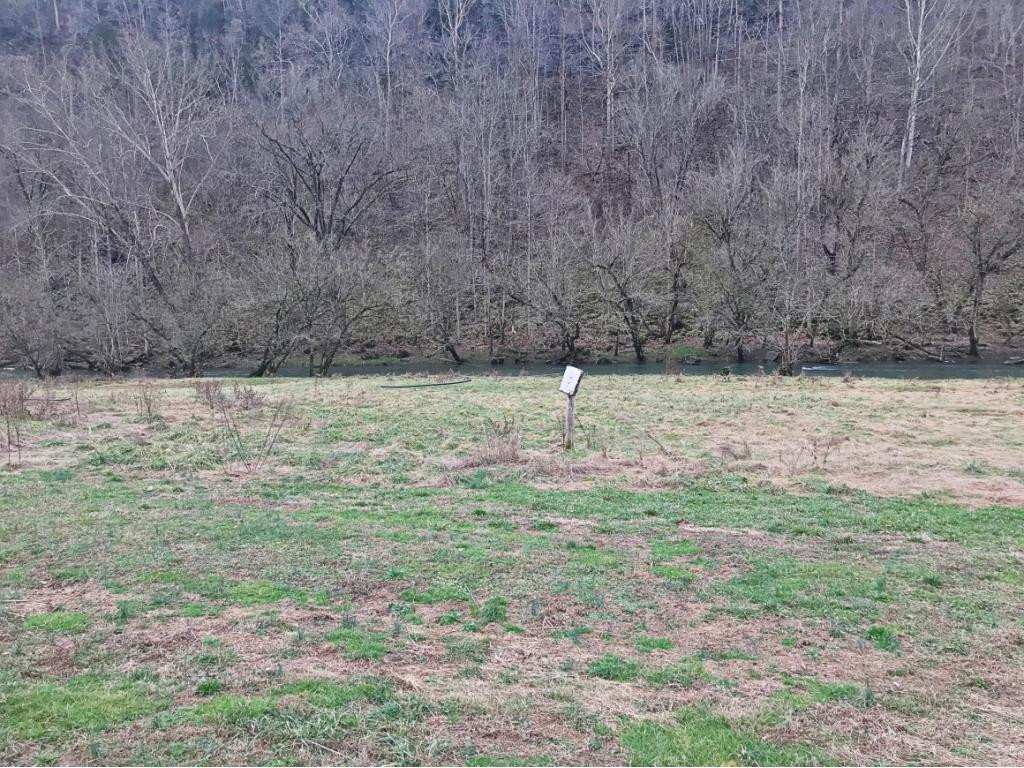 355 Ruritan Run Road Gate City, VA 24251 - Photo 3 of 16 Photo 3