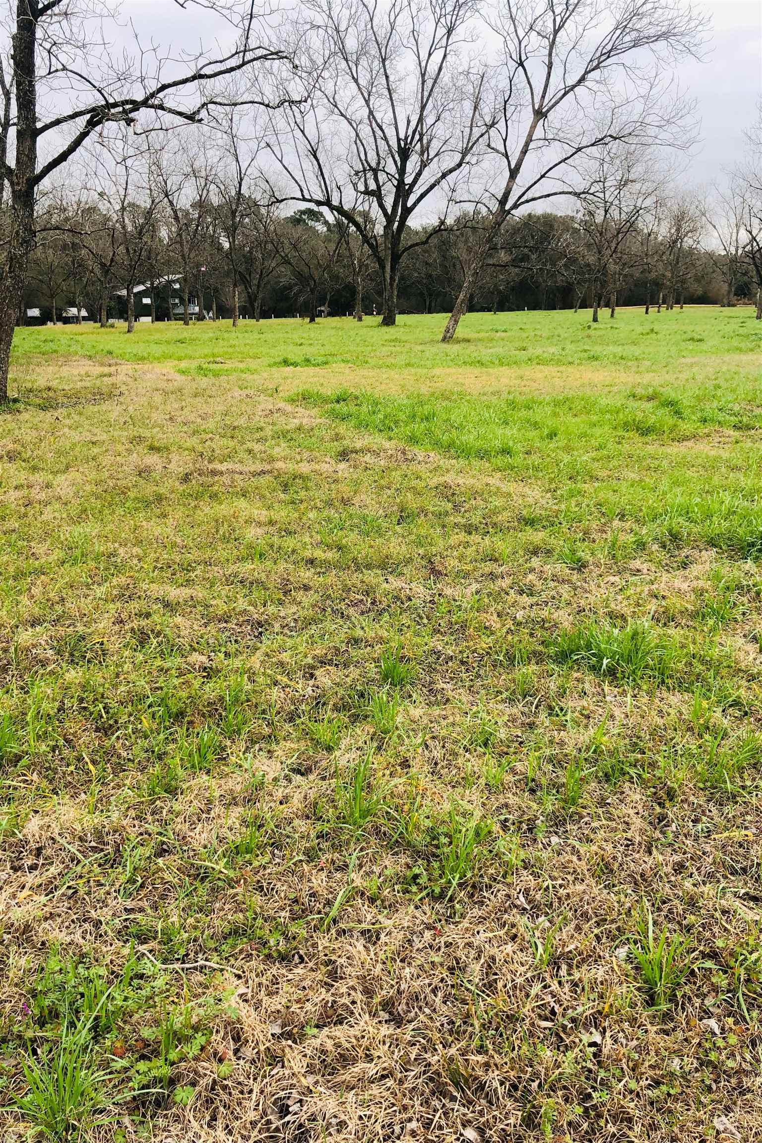 0 Nancy Loop Fairhope, AL 36532 - Photo 8 of 15