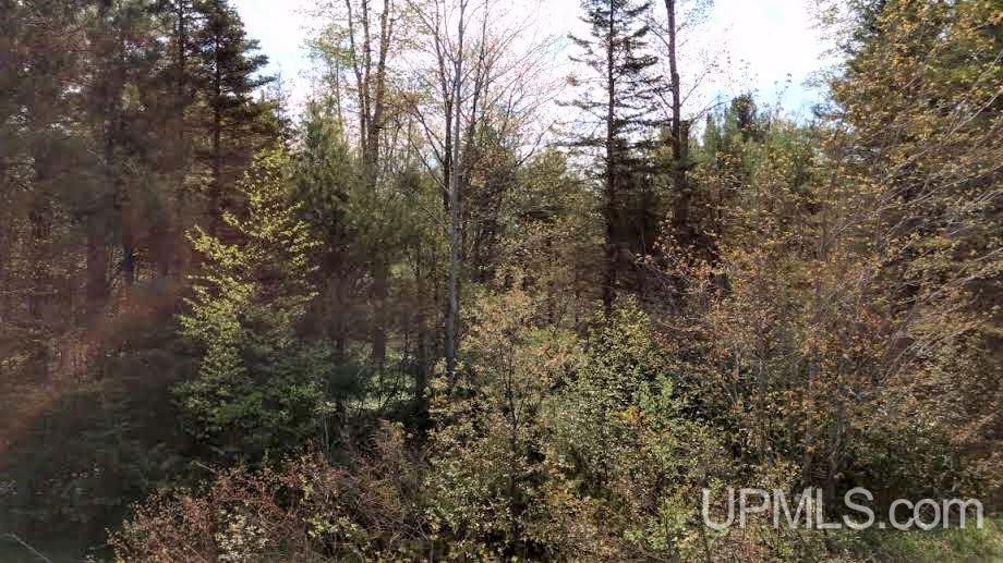 Tbd Boundary Road Chassell, MI 49931 - Photo 13 of 15