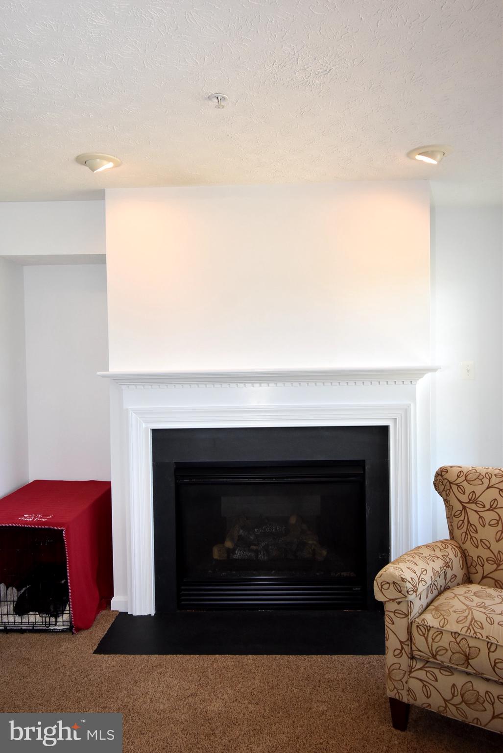 108 Maple Leaf Drive Rising Sun, MD 21911 - Photo 10 of 35 Gas FP with Slate Surround & Mantle