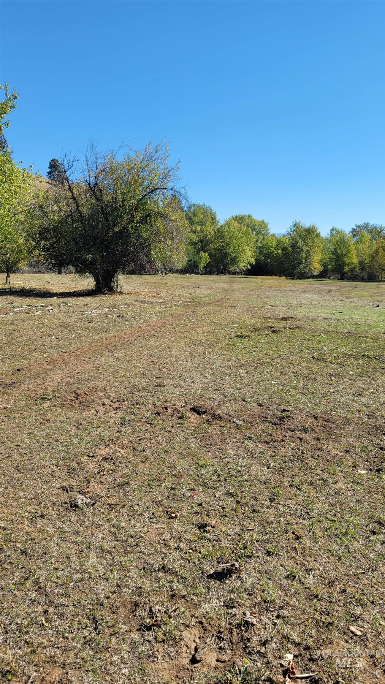 Tbd Goodrich Creek Road Council, ID 83612 - Photo 11 of 14 View of yard featuring a view of rural / pastoral area