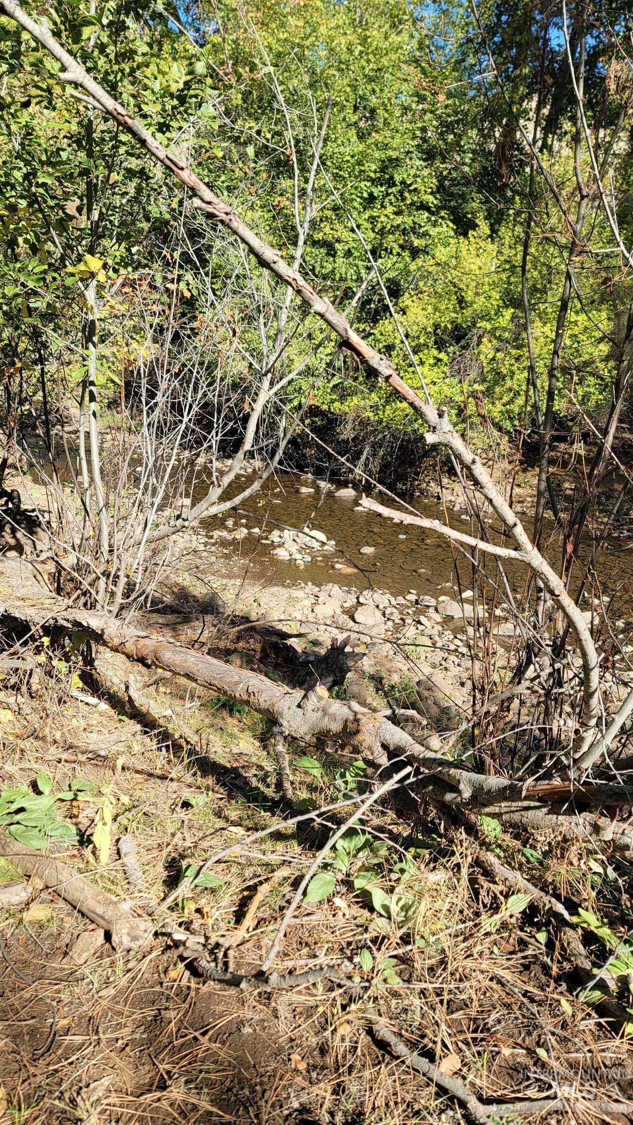 Tbd Goodrich Creek Road Council, ID 83612 - Photo 13 of 14 View of nature