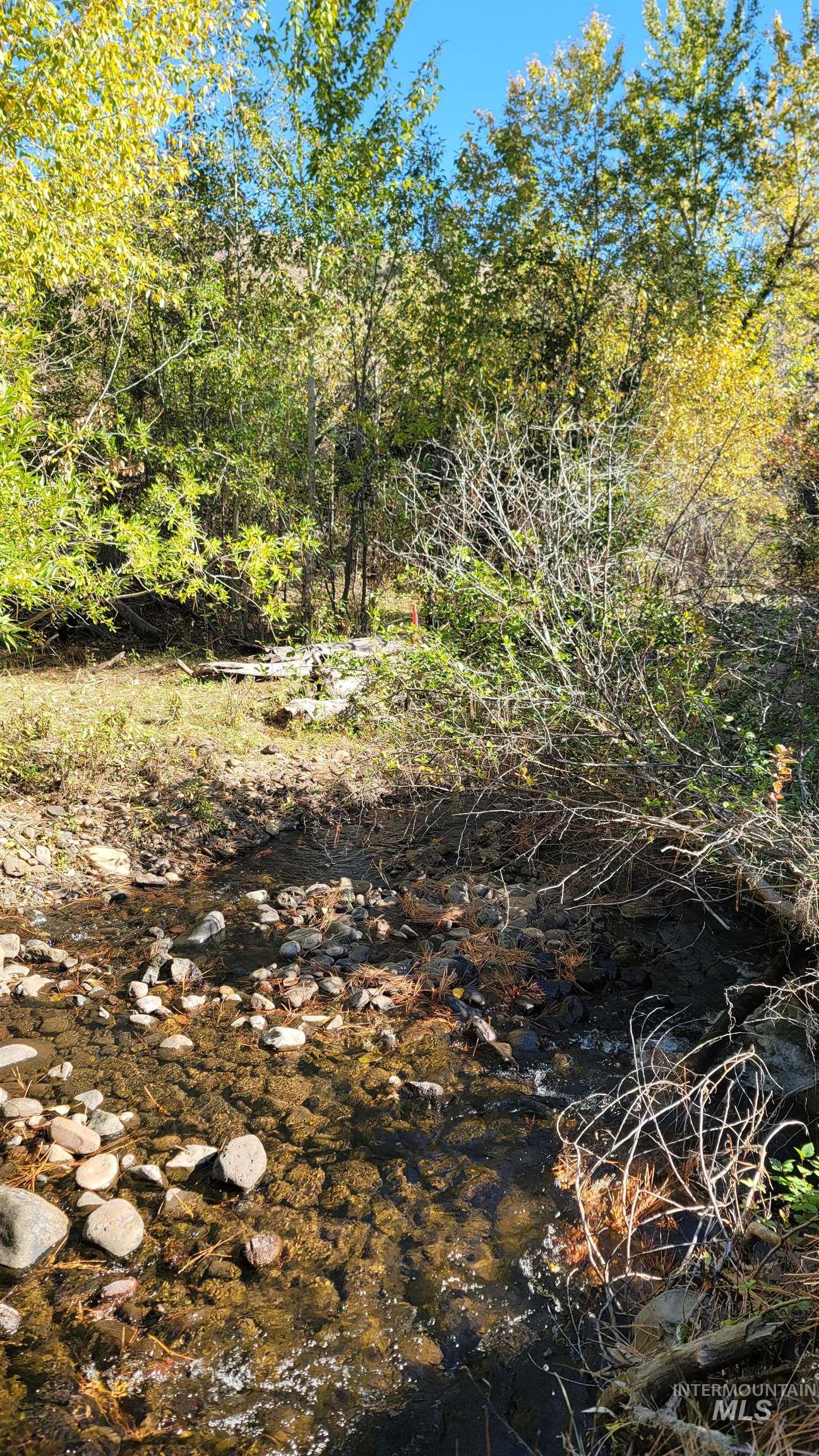 Tbd Goodrich Creek Road Council, ID 83612 - Photo 2 of 14 View of nature