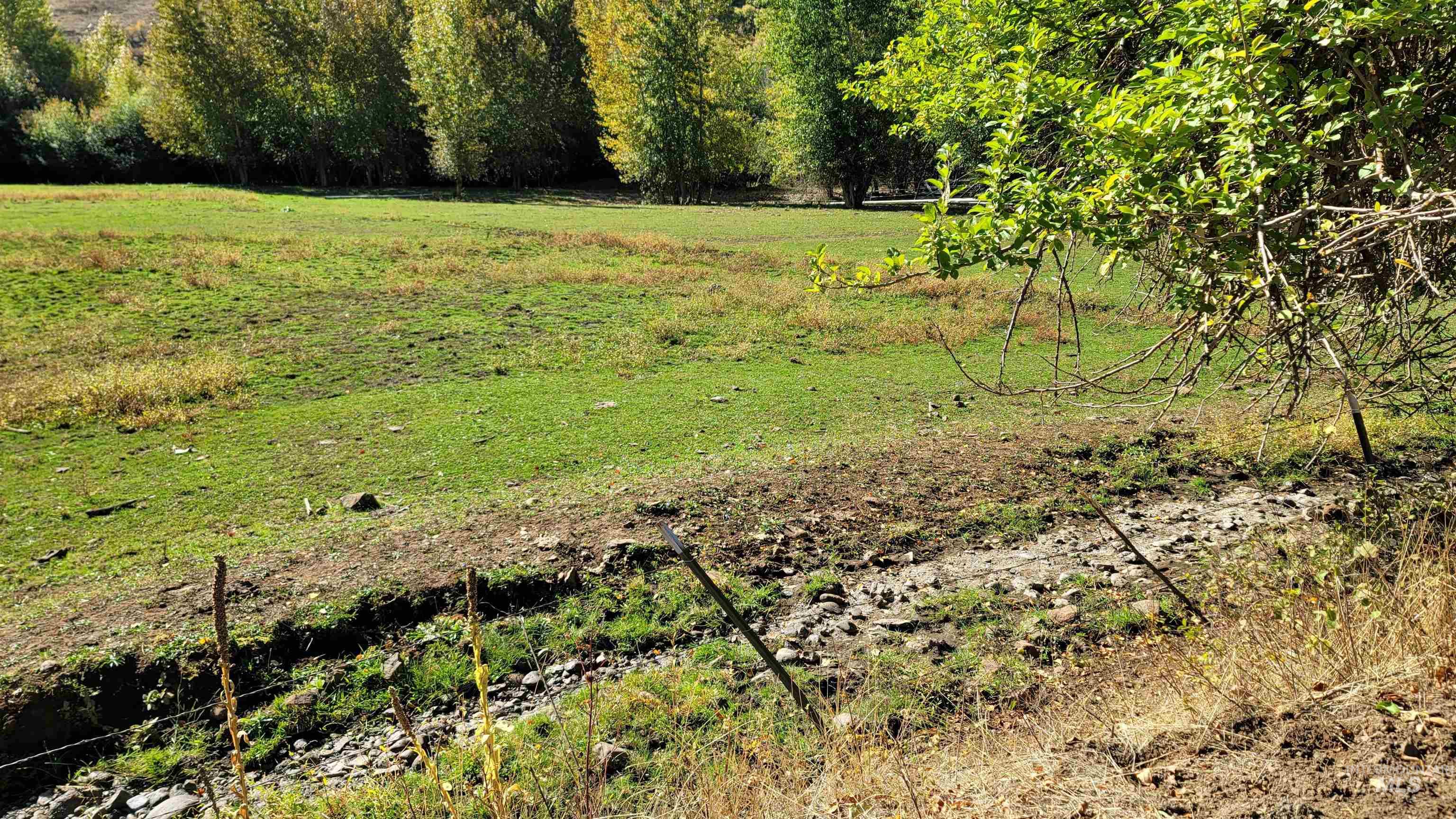 Tbd Goodrich Creek Road Council, ID 83612 - Photo 3 of 14 View of undeveloped land