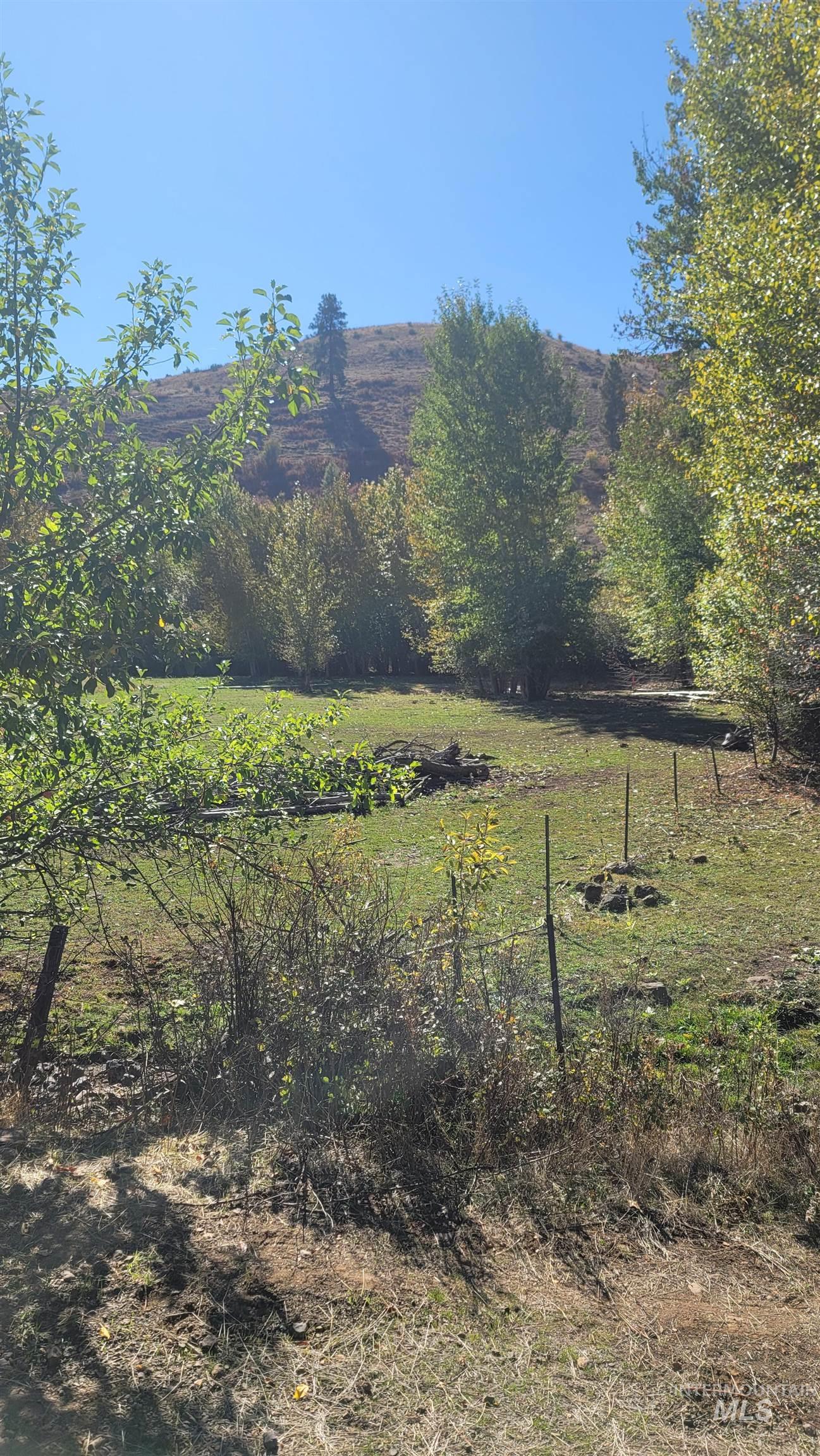 Tbd Goodrich Creek Road Council, ID 83612 - Photo 4 of 14 View of yard featuring a rural view and a mountain view