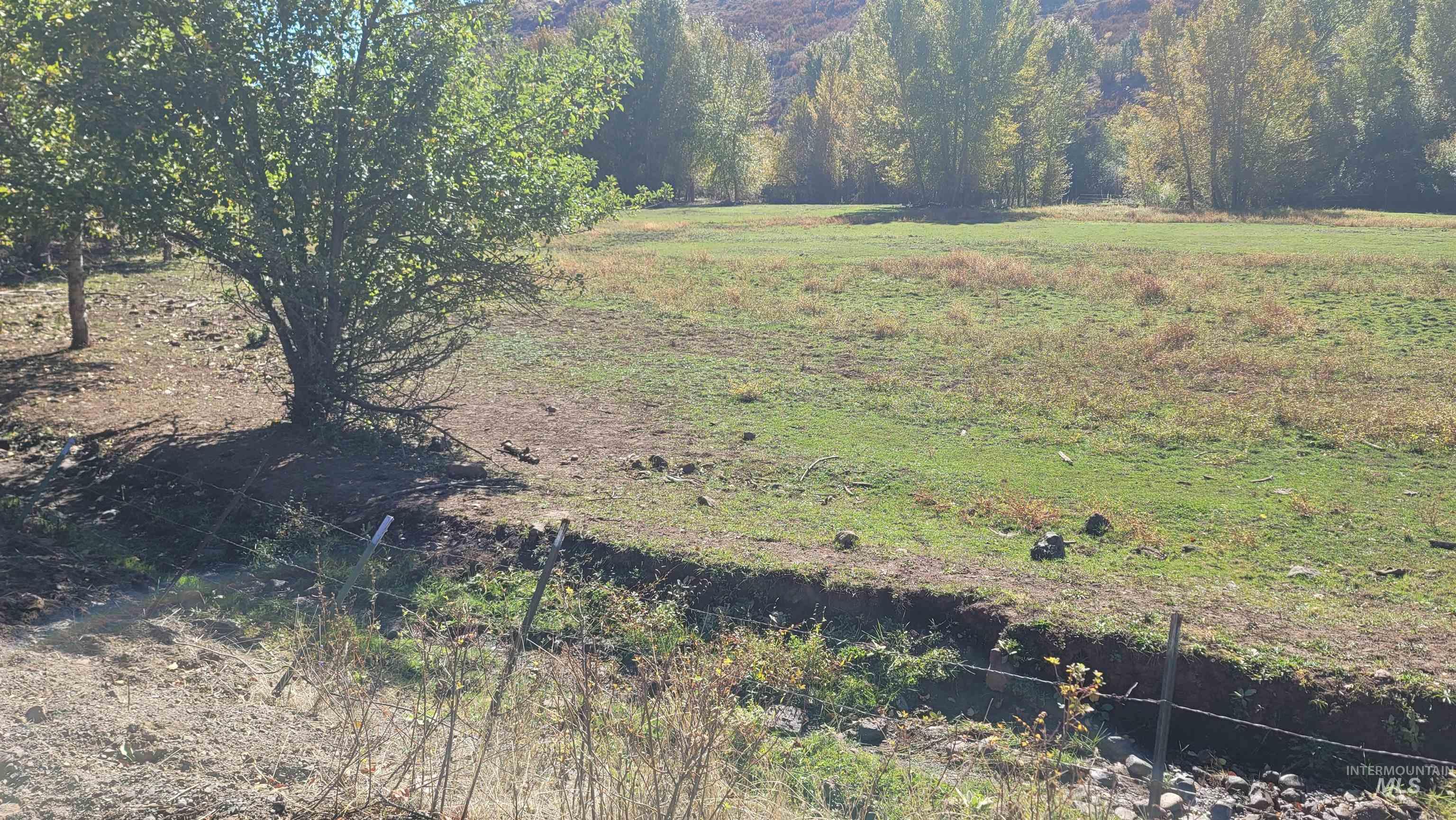Tbd Goodrich Creek Road Council, ID 83612 - Photo 5 of 14 View of undeveloped land featuring rural landscape