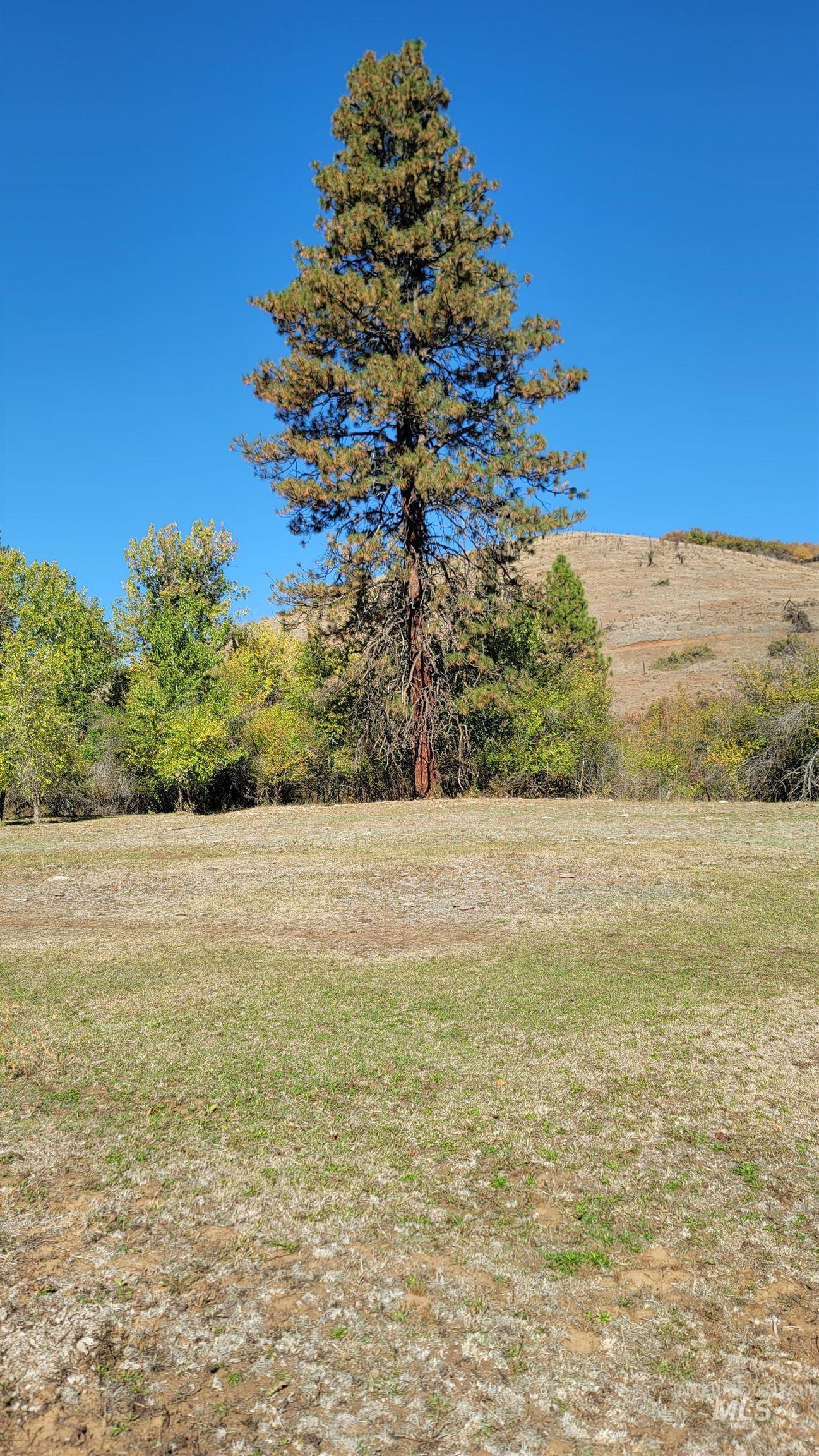 Tbd Goodrich Creek Road Council, ID 83612 - Photo 6 of 14 View of grassy yard