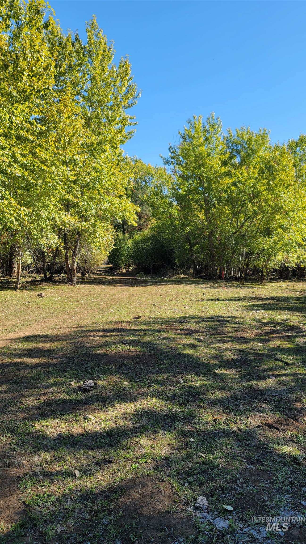Tbd Goodrich Creek Road Council, ID 83612 - Photo 7 of 14 View of grassy yard