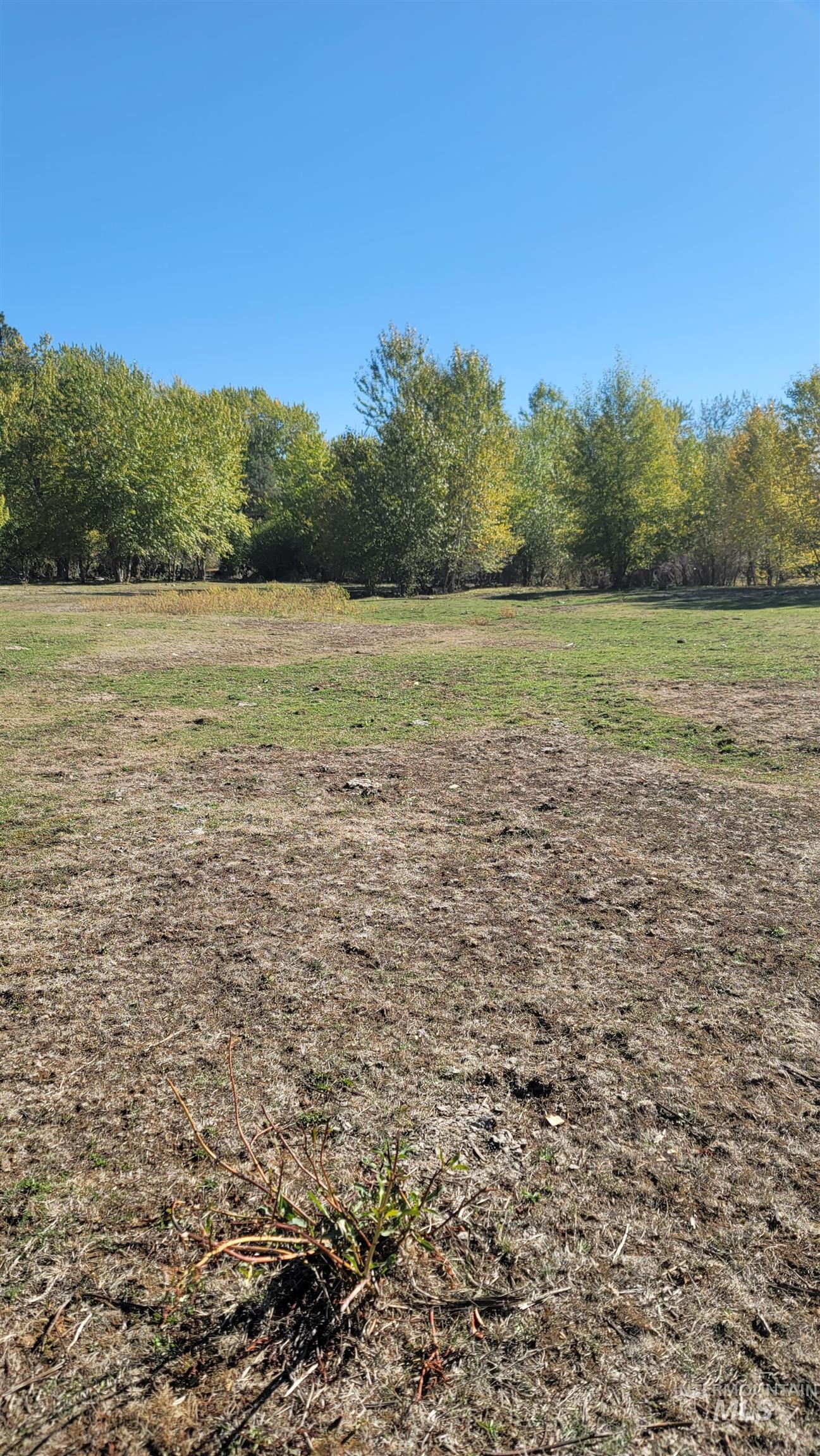 Tbd Goodrich Creek Road Council, ID 83612 - Photo 8 of 14 View of local wilderness with rural landscape