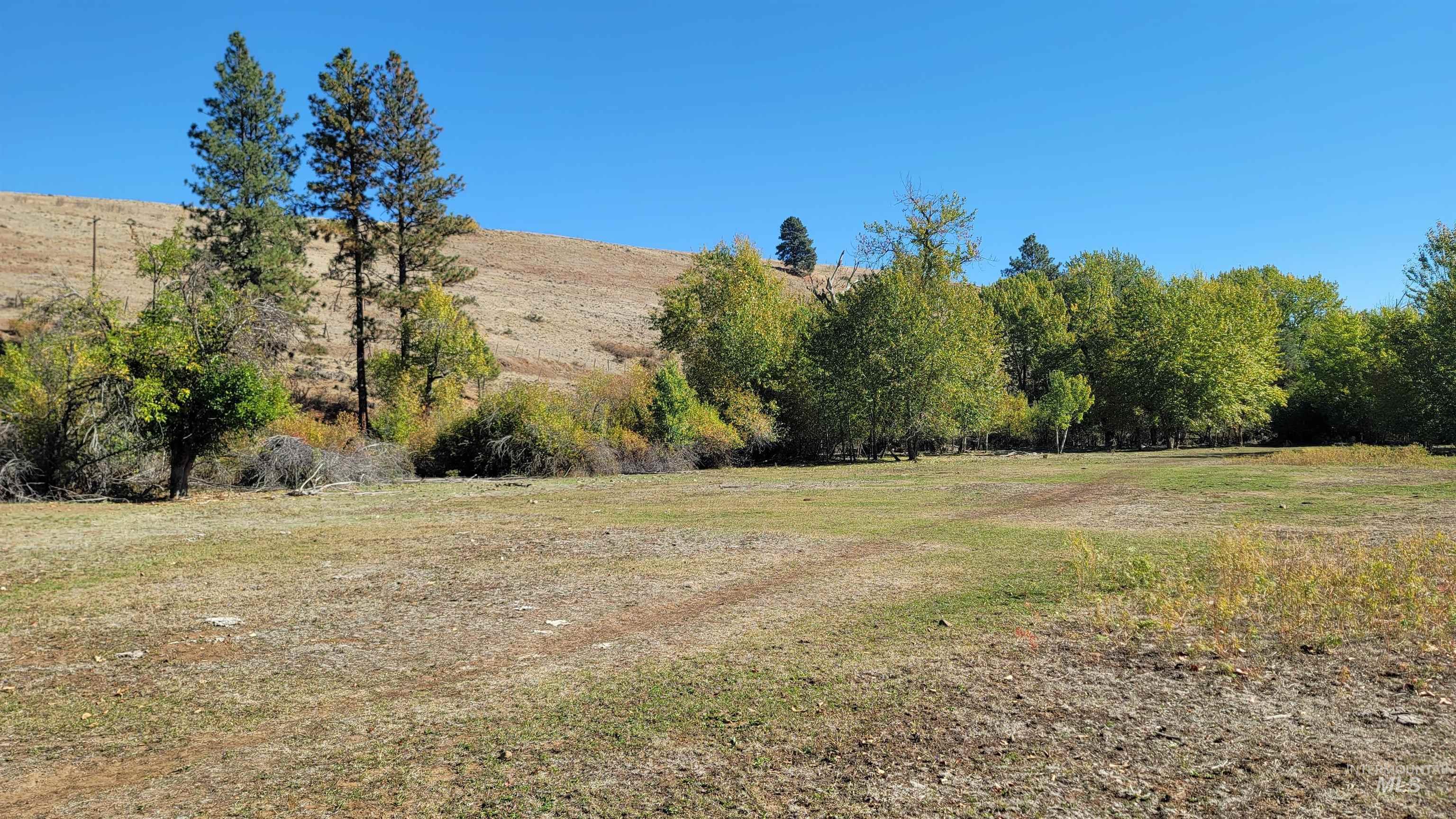 Tbd Goodrich Creek Road Council, ID 83612 - Photo 9 of 14 View of yard with a rural view and a mountain view