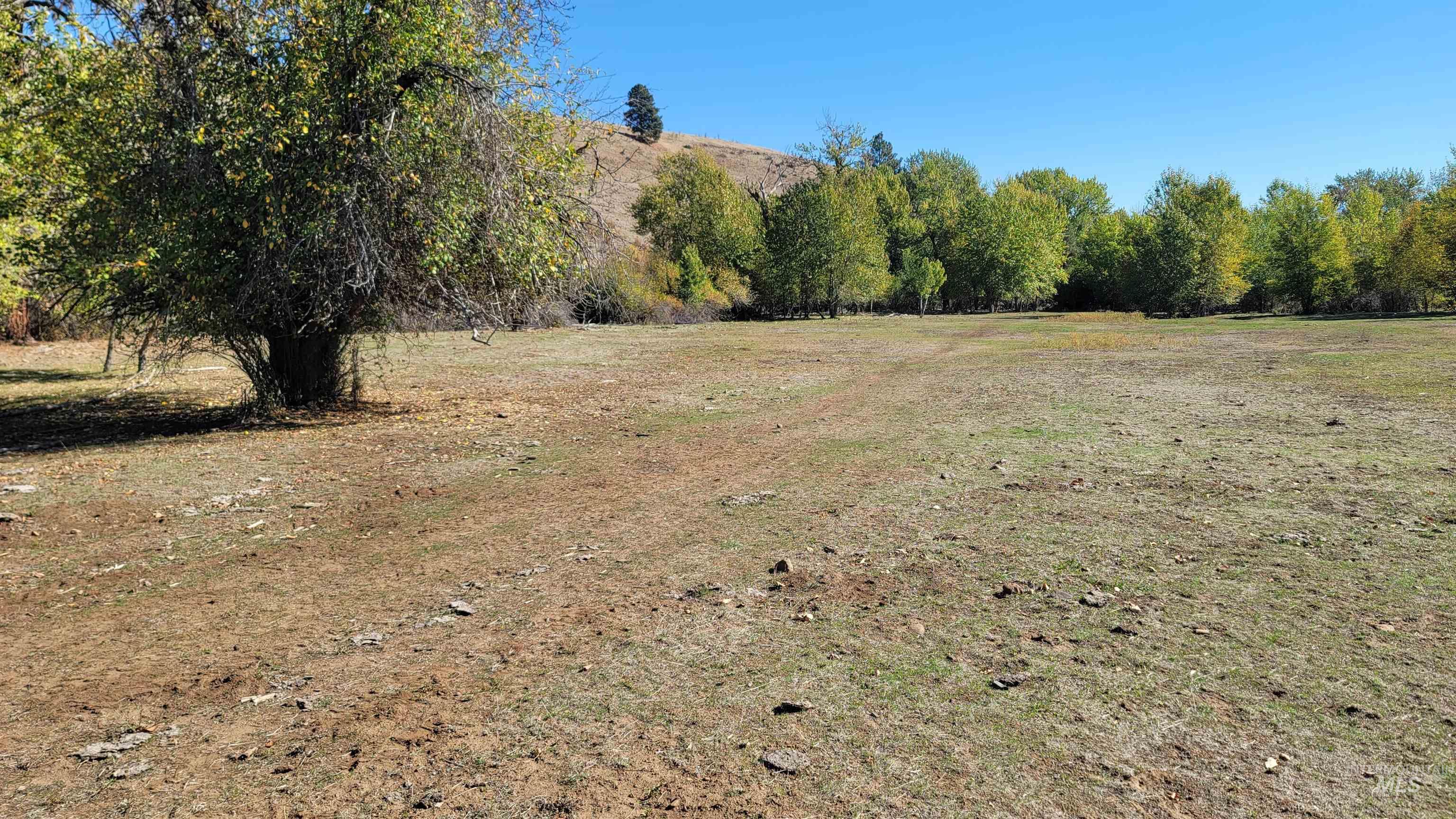 Tbd Goodrich Creek Road Council, ID 83612 - Photo 10 of 14 View of undeveloped land featuring rural landscape