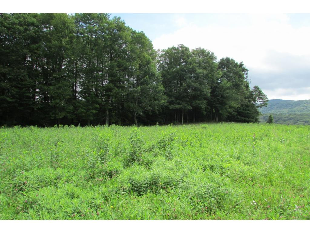 Tbd Hickory Tree Road Bluff City, TN 37618 - Photo 1 of 1 Photo 1