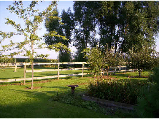 1841 Ashton Road Ashton, IL 61006 - Photo 11 of 11 a view of a golf course with a lake