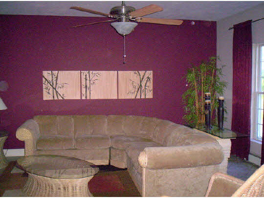 1841 Ashton Road Ashton, IL 61006 - Photo 4 of 11 a room with furniture and a potted plant