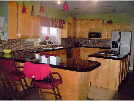 1841 Ashton Road Ashton, IL 61006 - Photo 6 of 11 a kitchen with stainless steel appliances granite countertop a sink dishwasher a stove a refrigerator a dining table and chairs with wooden floor