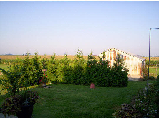 1841 Ashton Road Ashton, IL 61006 - Photo 10 of 11 a view of a garden