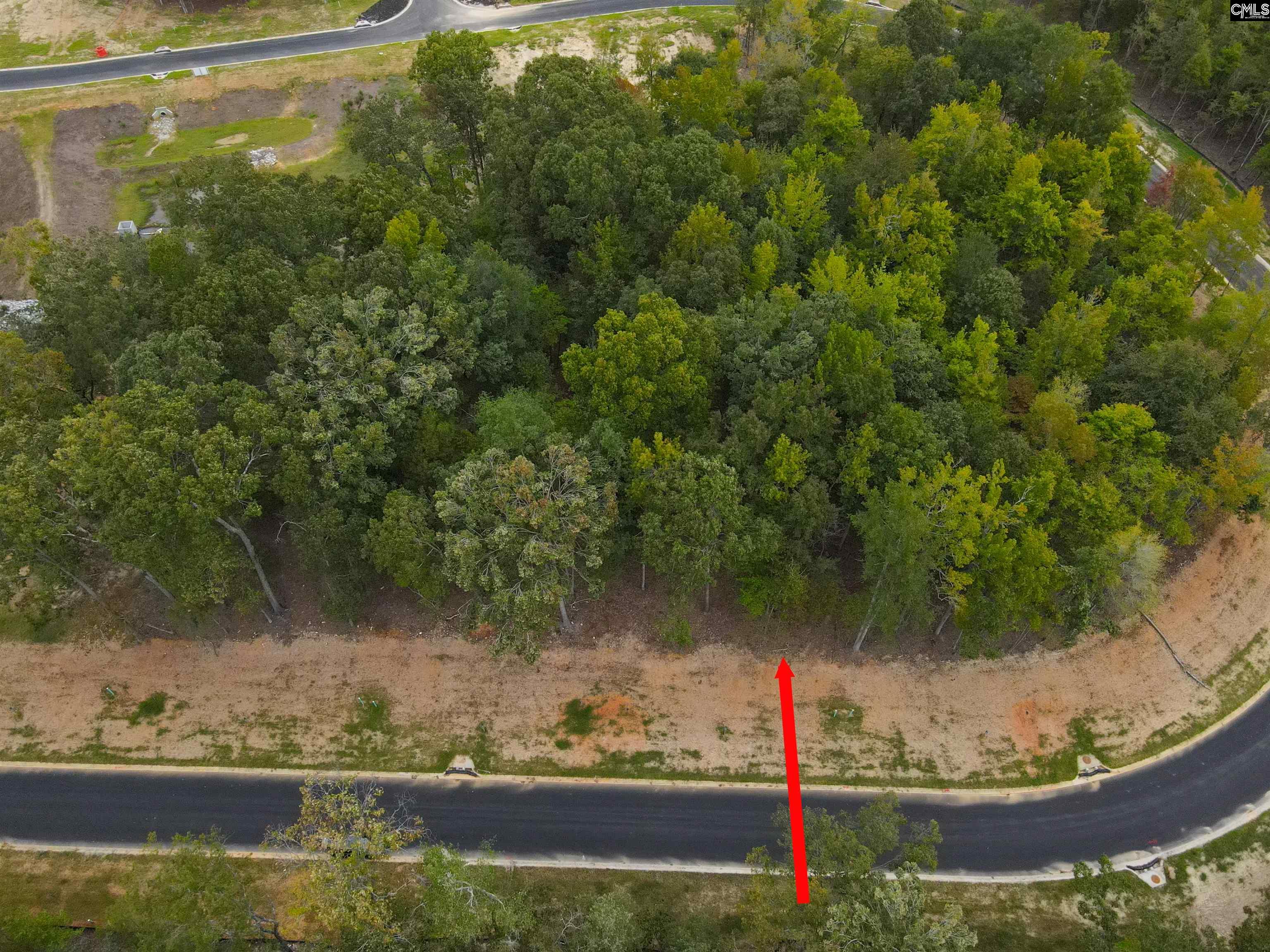 1064 Refuge Place Chapin, SC 29036 - Photo 20 of 20