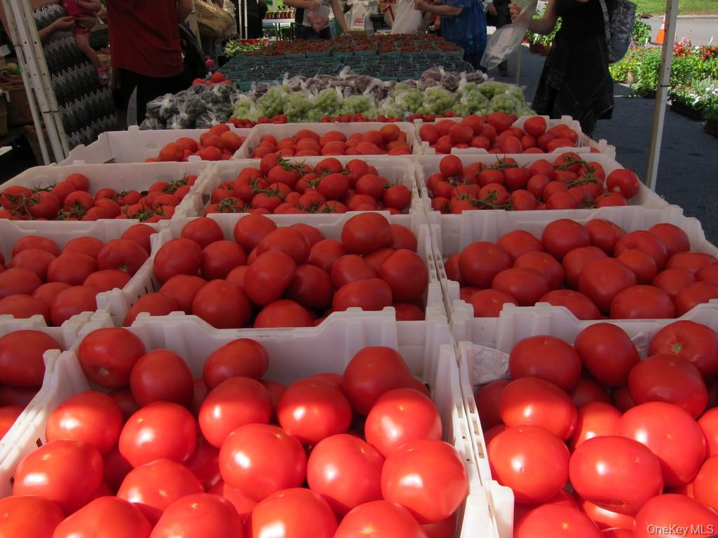 60 Pinewood Road, Unit 1B Hartsdale, NY 10530 - Photo 25 of 27 Hartsdale Farmer's Market