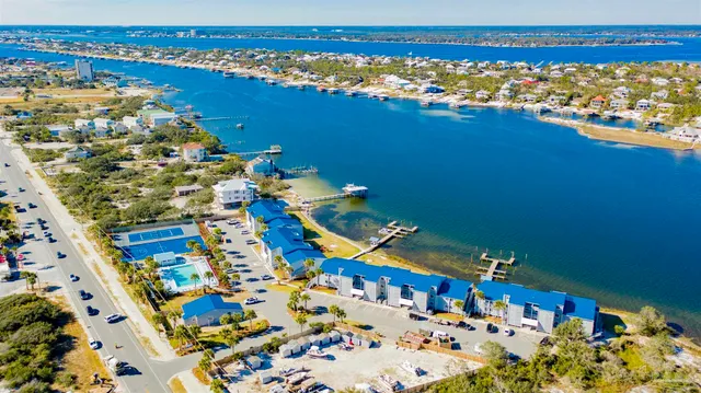 a room with lots of trees