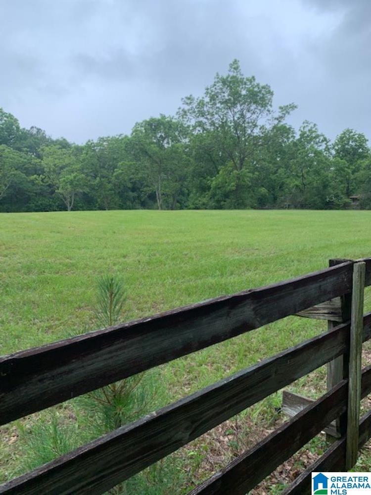 14017 County Road 68 Andalusia, AL 36421 - Photo 5 of 5
