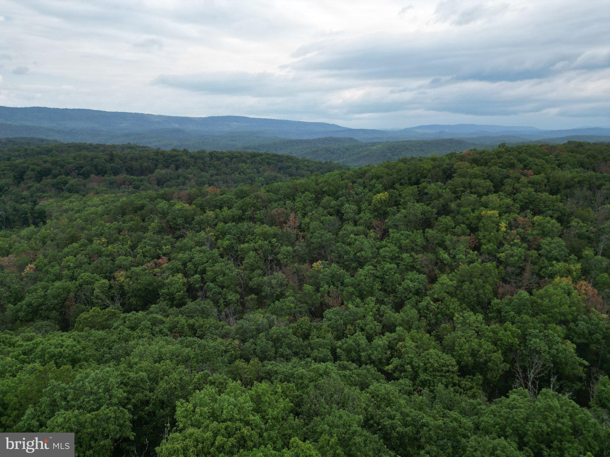29-acres 29-acres Gaither Road Great Cacapon, WV 25422 - Photo 32 of 45 Gallery Image 32