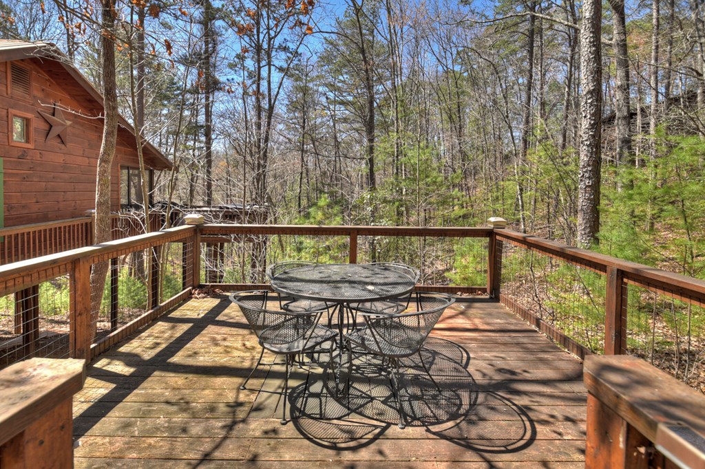 68 Doyle Carder Parkway Blue Ridge, GA 30513 - Photo 27 of 50