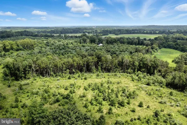 $999,900 | 18172 Youngs Lane, Stevensburg, VA 22741