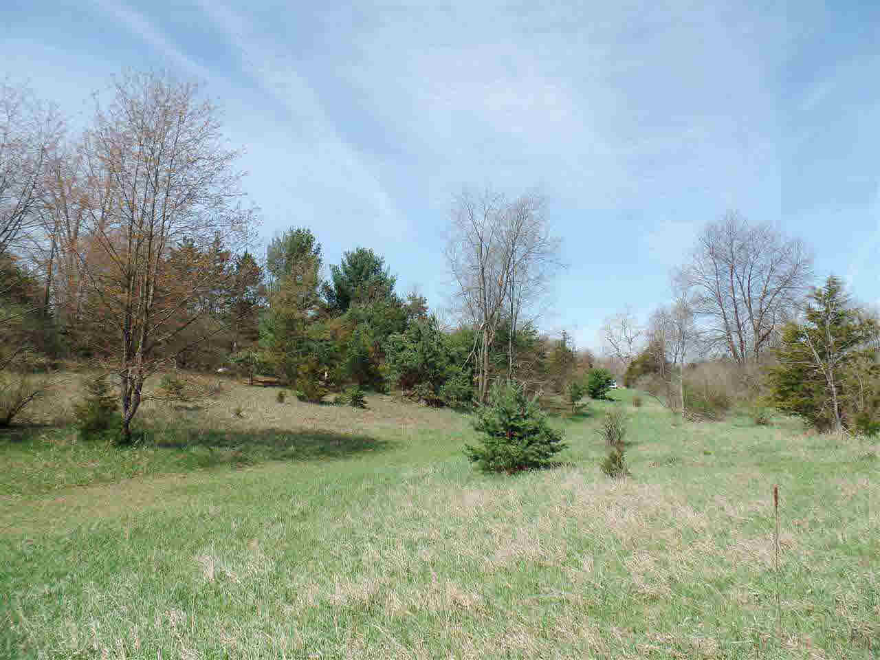 Sweezy Lake Road, Unit V/L Brooklyn, MI 49230 - Photo 6 of 21 Gallery Image 6