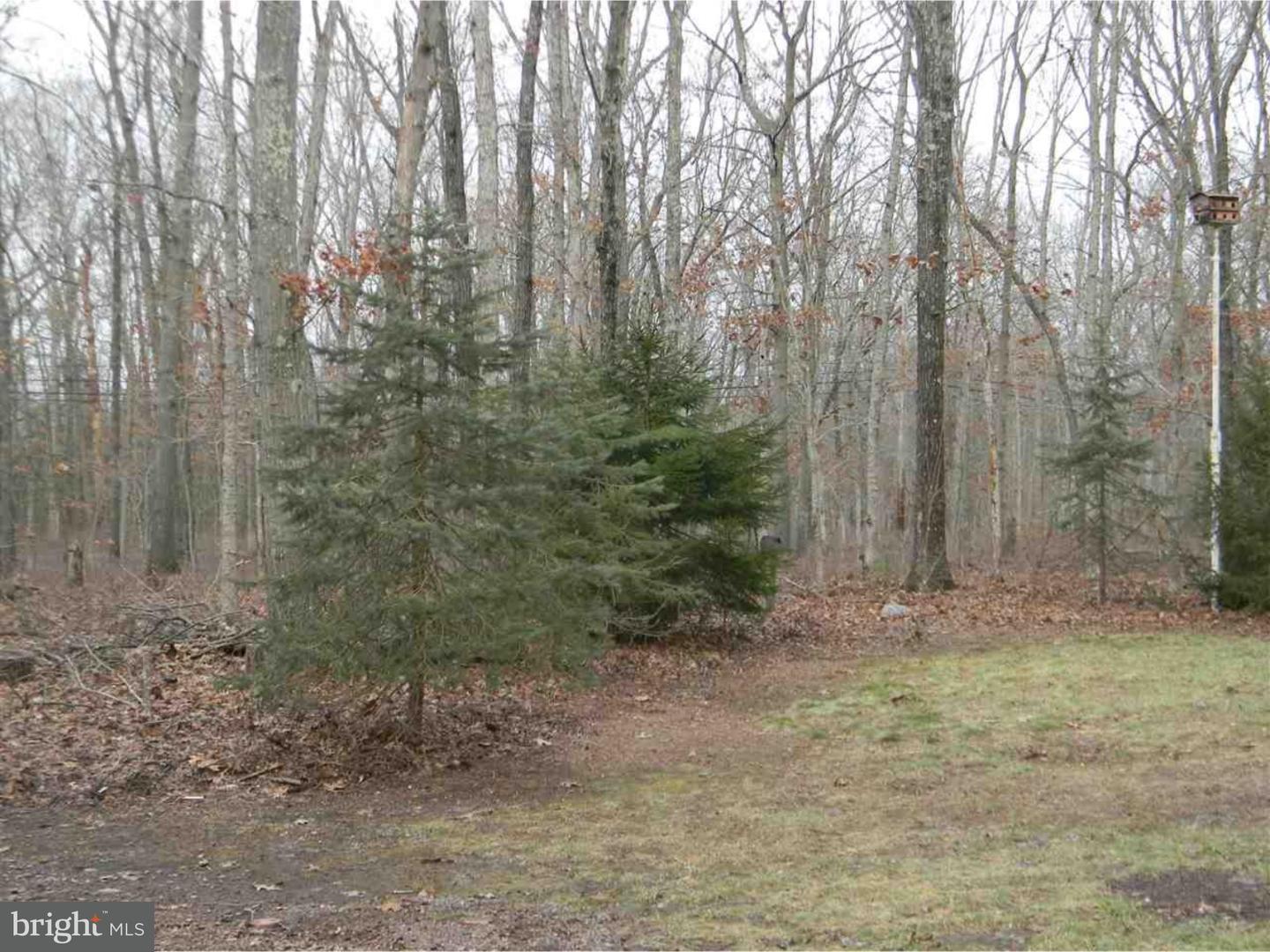 1976 North Blue Bell Road Newfield, NJ 08344 - Photo 3 of 18