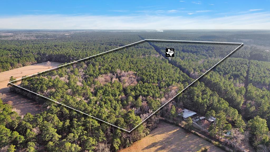 0 Fm 357 Kennard, TX 75847 - Photo 1 of 8