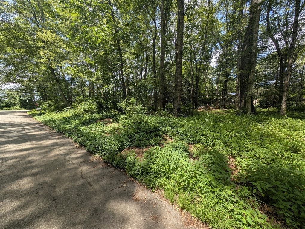 181 Dresser Hill Road, Unit 2 LOTS Dudley, MA 01571 - Photo 3 of 39