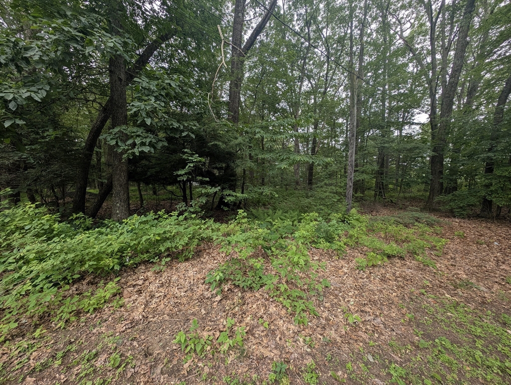 181 Dresser Hill Road, Unit 2 LOTS Dudley, MA 01571 - Photo 37 of 39