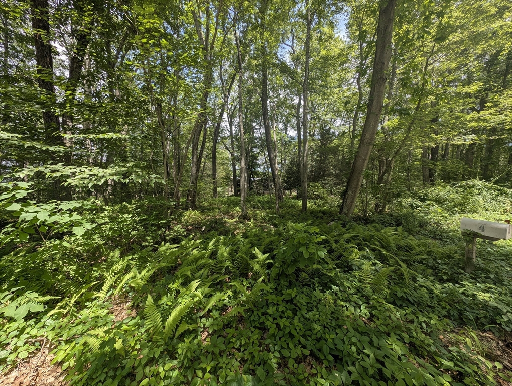 181 Dresser Hill Road, Unit 2 LOTS Dudley, MA 01571 - Photo 39 of 39