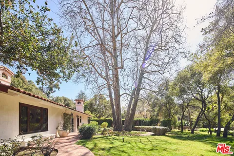 a view of a yard with large trees