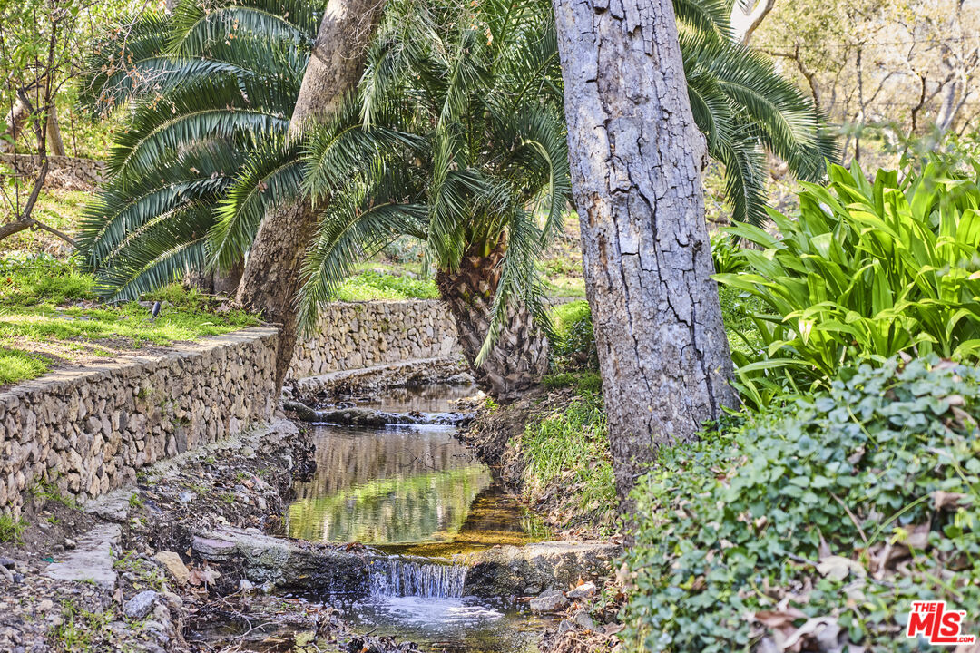 6138 Ramirez Canyon Road Malibu, CA 90265 - Photo 25 of 31 a view of a garden with a tree