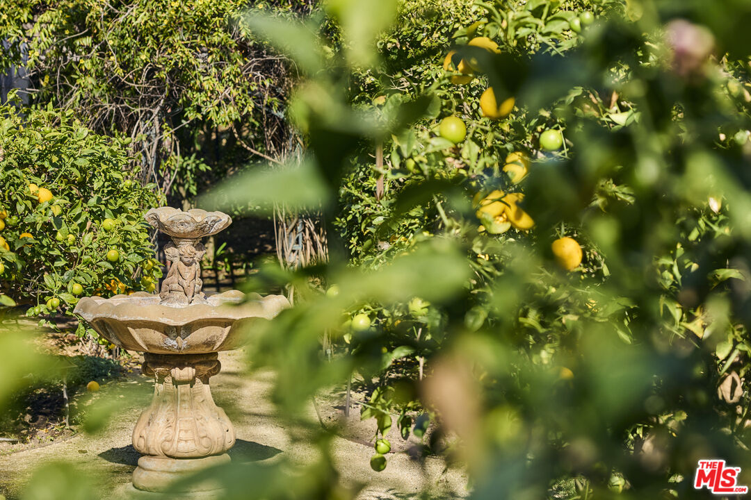 6138 Ramirez Canyon Road Malibu, CA 90265 - Photo 27 of 31 a view of a flower in a garden