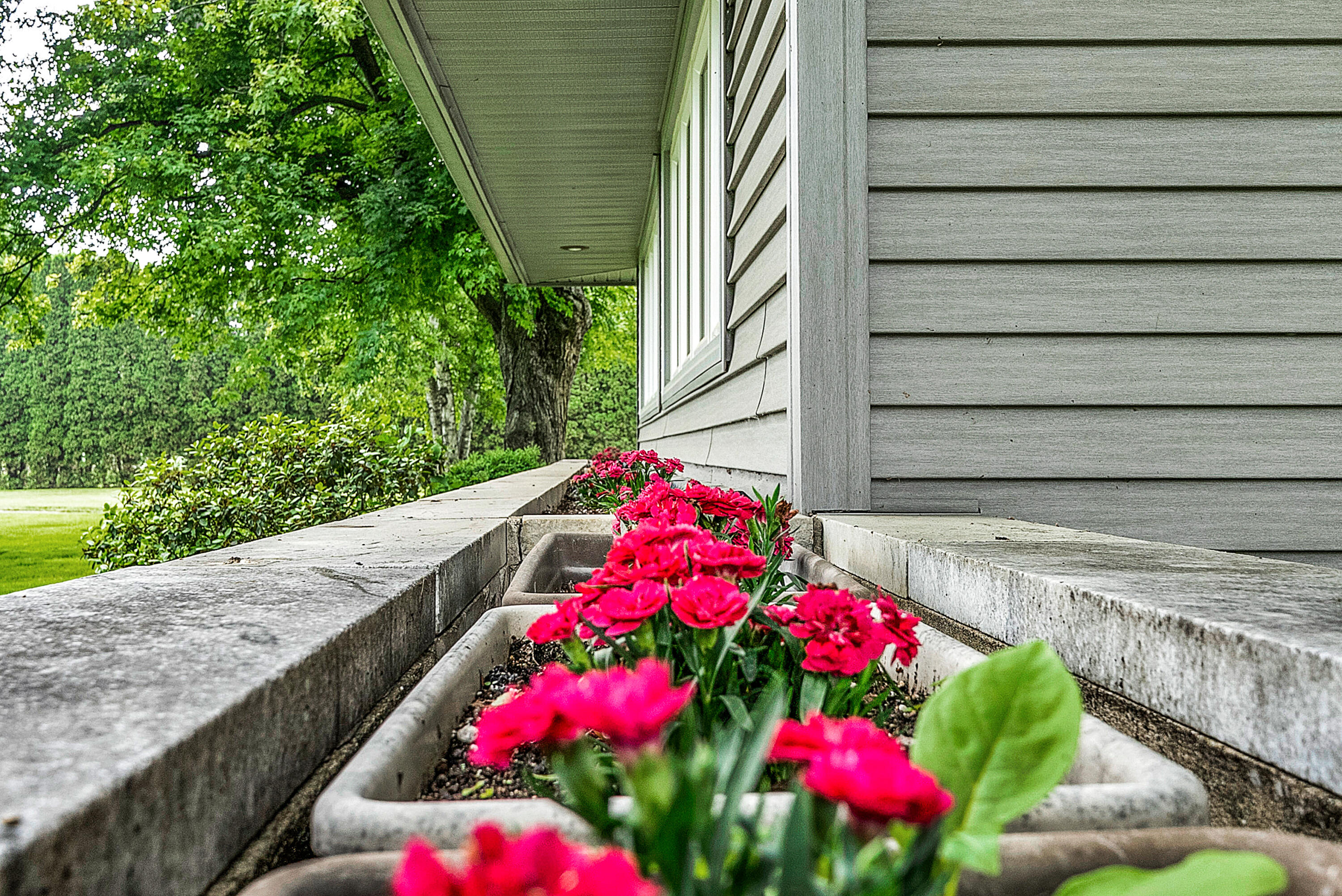 4340 County Farm Road Greenville, MI 48838 - Photo 8 of 68 DSC04452