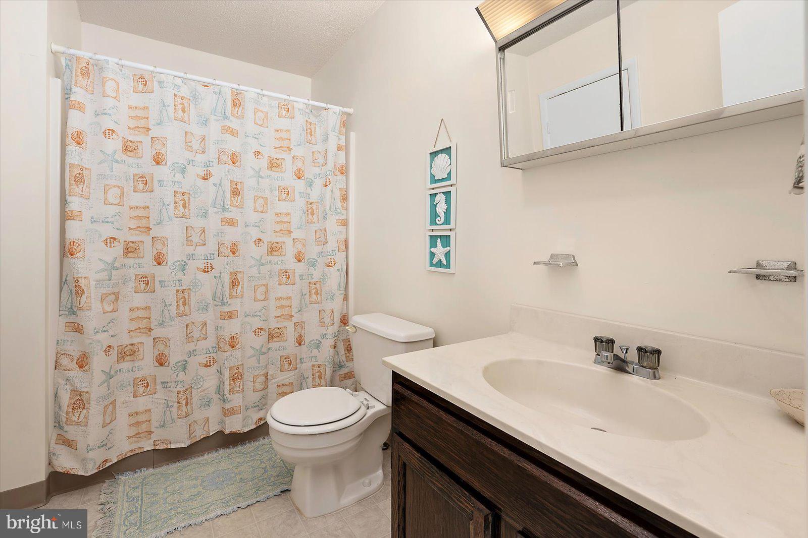 614 Osprey Road, Unit D Ocean City, MD 21842 - Photo 23 of 60 a bathroom with a sink a toilet and shower curtain