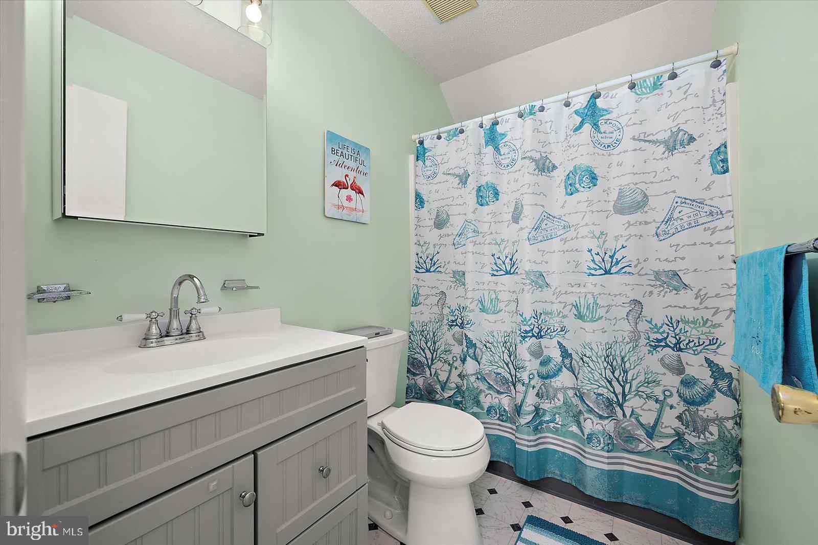 614 Osprey Road, Unit D Ocean City, MD 21842 - Photo 35 of 60 a bathroom with a sink toilet and a mirror