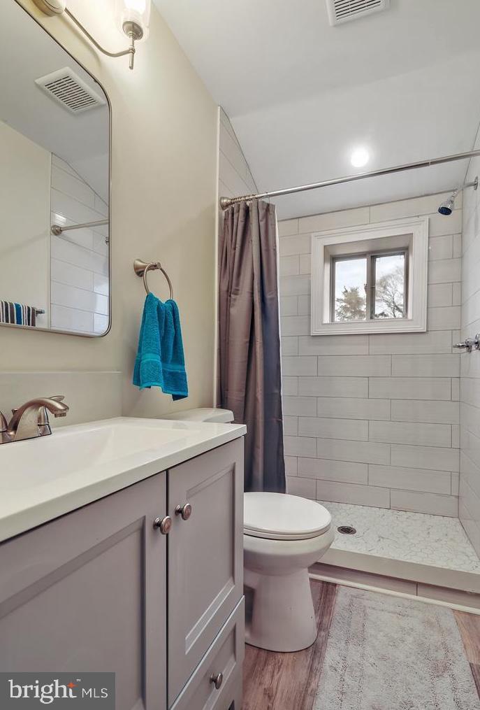 14161 Union Street Milton, DE 19968 - Photo 18 of 31 a bathroom with a sink a toilet and shower