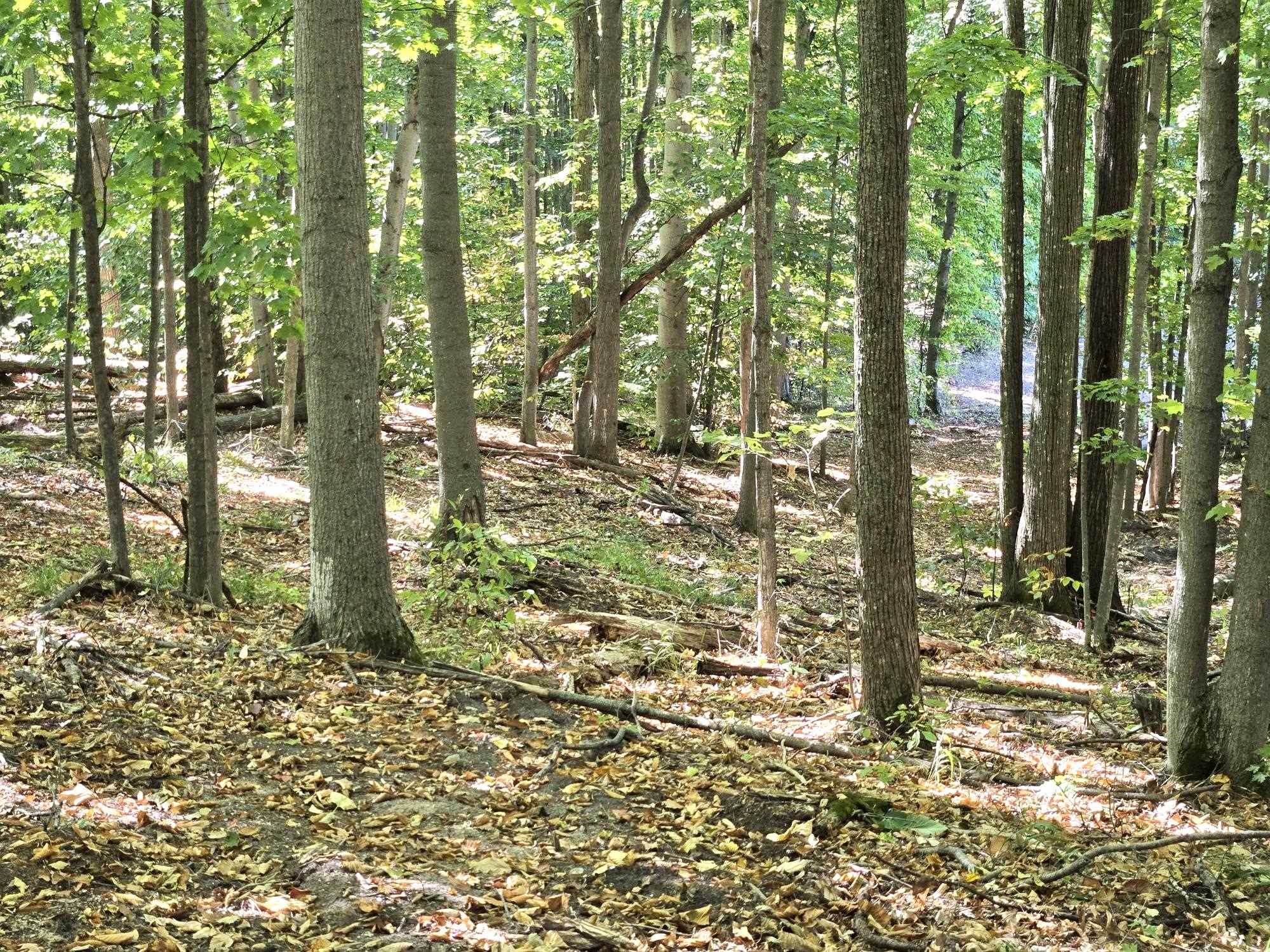 4 Heather Ridge Trail Beulah, MI 49617 - Photo 5 of 10