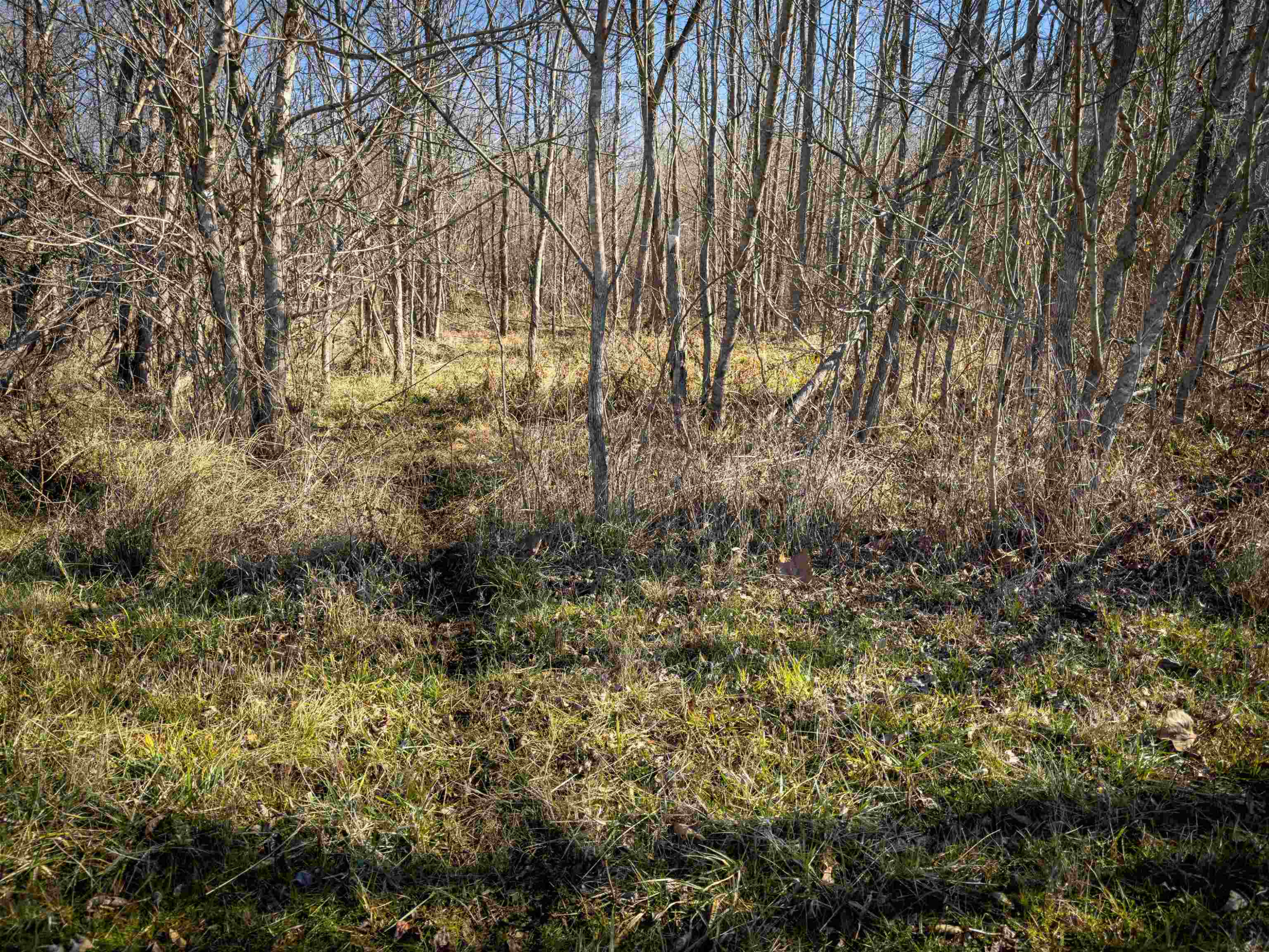 930 Lawson Farm Road Roxboro, NC 27574 - Photo 22 of 52 Photo 22