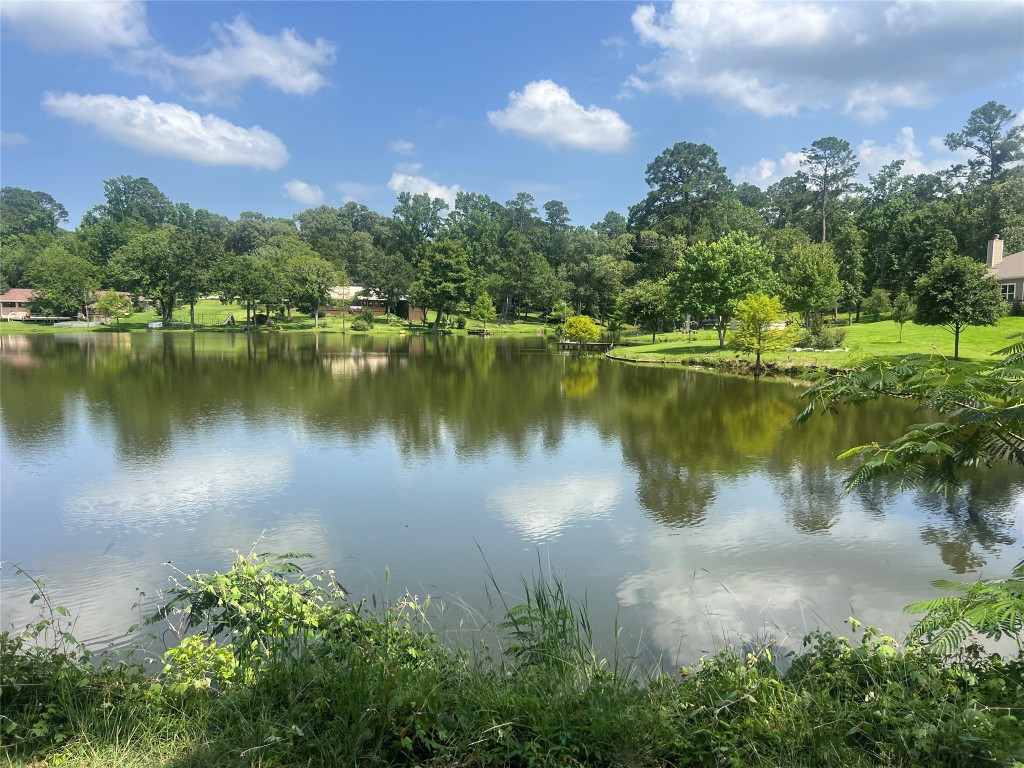 89 Hill Top Road Huntsville, TX 77320 - Photo 14 of 17
