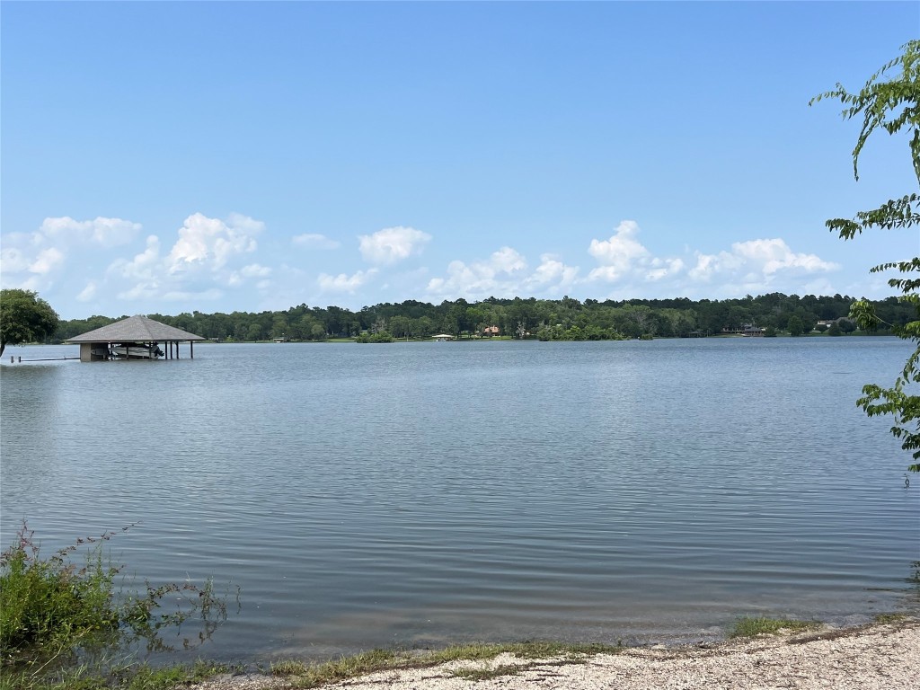 89 Hill Top Road Huntsville, TX 77320 - Photo 17 of 17