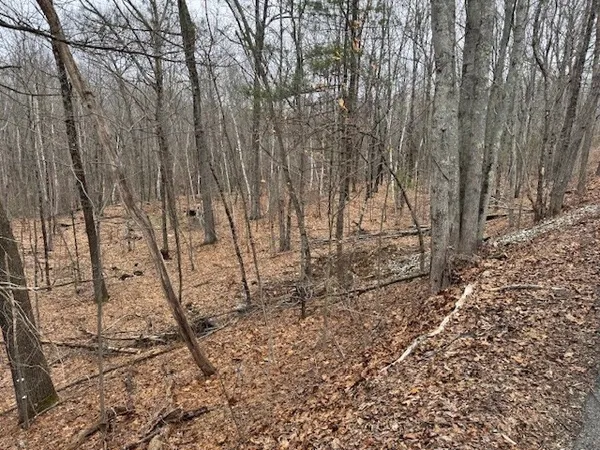 $115,000 | Lot 2 Gould Road, Charlton, MA 01507