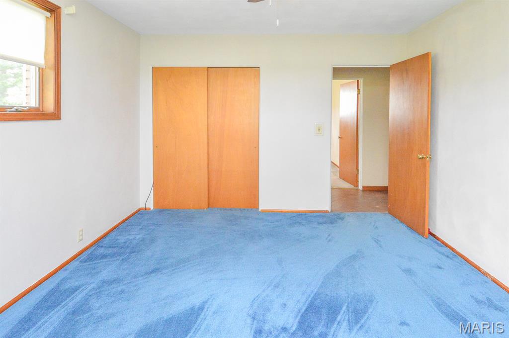2430 Beckmann Road Lenzburg, IL 62255 - Photo 23 of 54