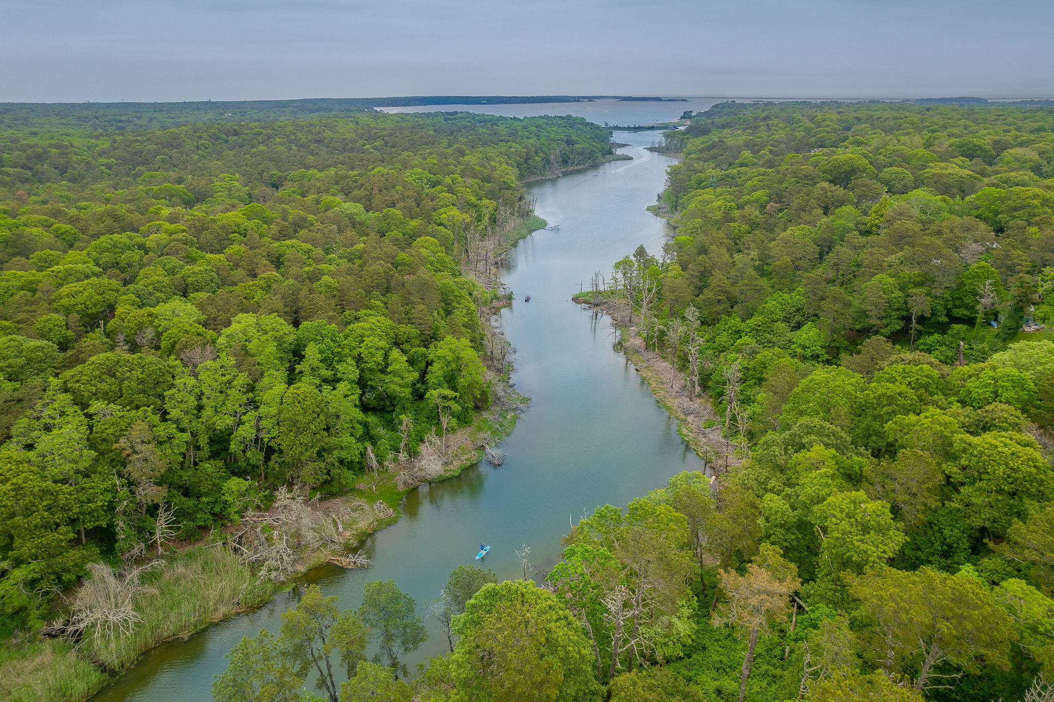 24 Chickadee Circle Chatham, MA 02633 - Photo 40 of 44 a view of a lake with a yard