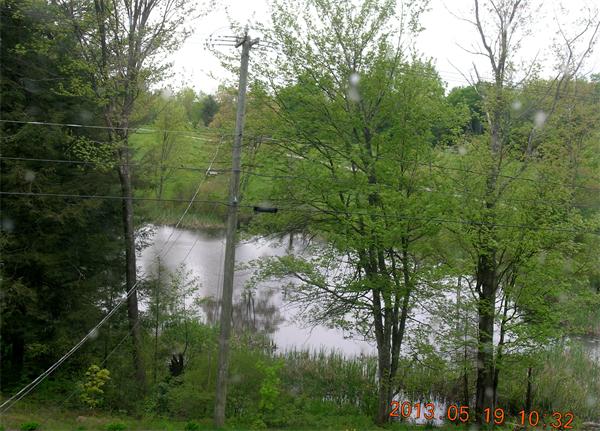 122 Pond Brook Road Huntington, MA 01050 - Photo 14 of 19 a view of a forest
